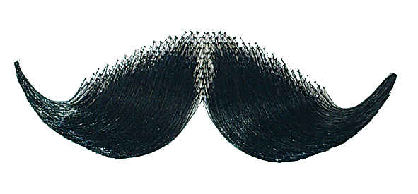 Schnurrbart delux schwarz  *)