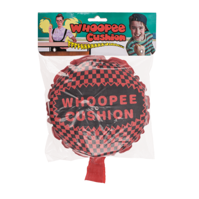 Pups Kissen Groß selbstaufblasend verschieden Farben