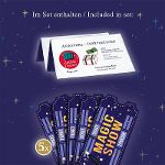 Zaubertrick Nr. 17 "Zaubertresor" Magic Show