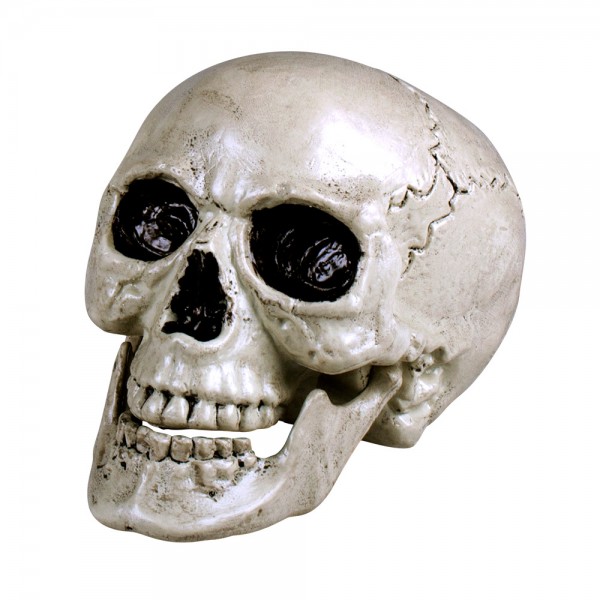 Totenkopf mit beweglichem Kiefer ca.17x15xcm